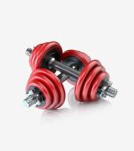 A Pair Of Dumbbells-4